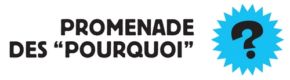 Répondre aux questions commençant par POURQUOI : quel défi lorsque nous nous adressons aux enfants! Les parents le savent bien et sont parfois bien emprunter pour trouver des réponses. Heureusement, le Savambulant mettra tout en oeuvre pour leur donner quelques pistes. Le temps d’une promenade sur le prestigieux site de l’EPFL, glissons-nous dans la peau d’un·e scientifique, la science est en marche, partons… POUR QUOI? En collaboration avec le service de Promotion des Sciences de l'EPFL. Visuel Promenade des "pourquoi"